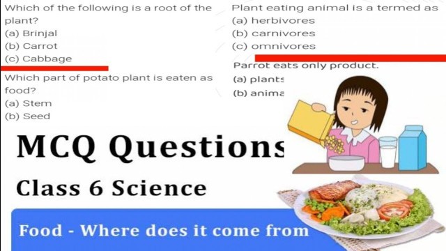 'Food Where Does It Come From: Class 6 Science Chapter 1: MCQs |Class 6 Science chapter 1 mcq'