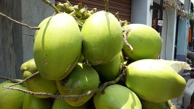 'Kolkata Street Food | Fresh and Natural Drink Coconut Water'