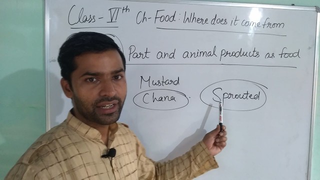 'FOOD : Where does it come from? NCERT SCIENCE Class 6'