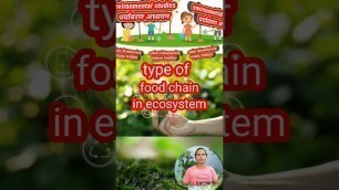 'types of food chain in ecosytem |# short videos'