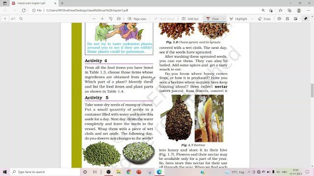 'class6 ncert science chapter1'