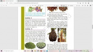 'class6 ncert science chapter1'