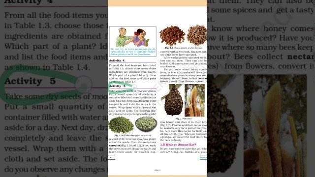 'Chapter 1 Food: where does it come from NCERT 6th class Science book'