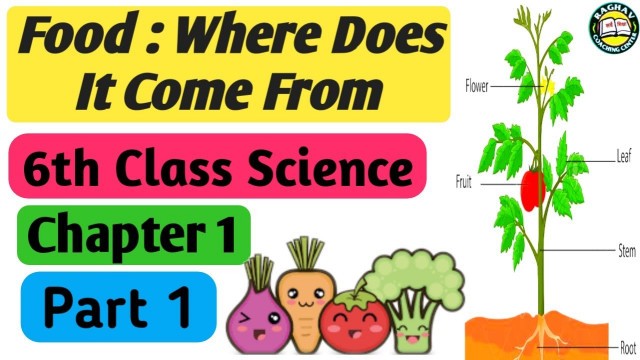 'Class 6th Science Chapter 1 | Food Where Does It Come From Part 1 | भोजन यह कहां से आता है | NCERT |'