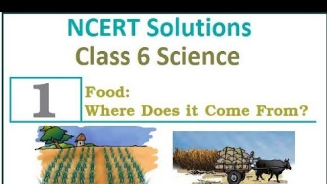 'Class 6 Science Chapter 1: Food, Where Does It Come From?'