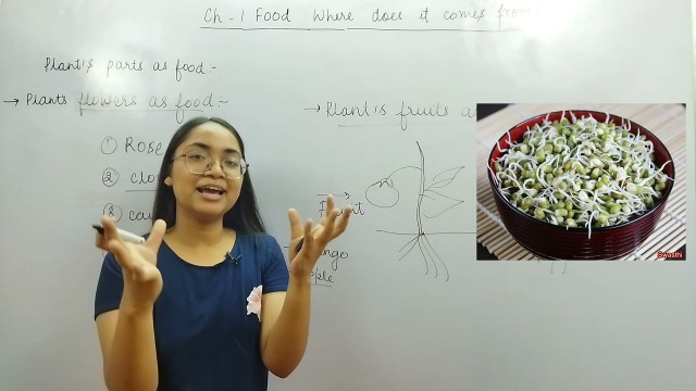 'Food: Where does it comes from? ||NCERT Class 6 Chapter-1||Science'