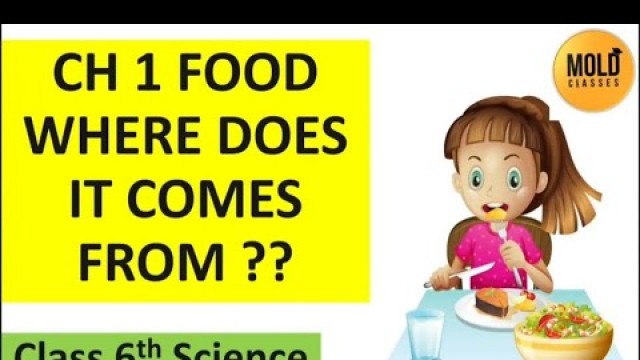 'Ch 1 food where does it come from | full chapter | class 6th Science'