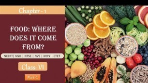 'Learn Food- Where does it come from? | NCERT Class-6 Science Ch-1 | CBSE | ICSE | CTET | NSO'