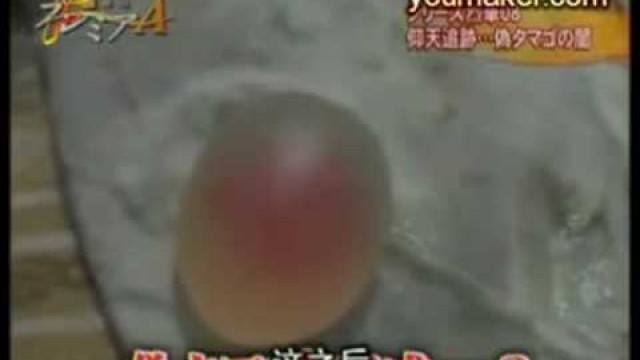 'Investigation of fake eggs in China. by FujiTV'