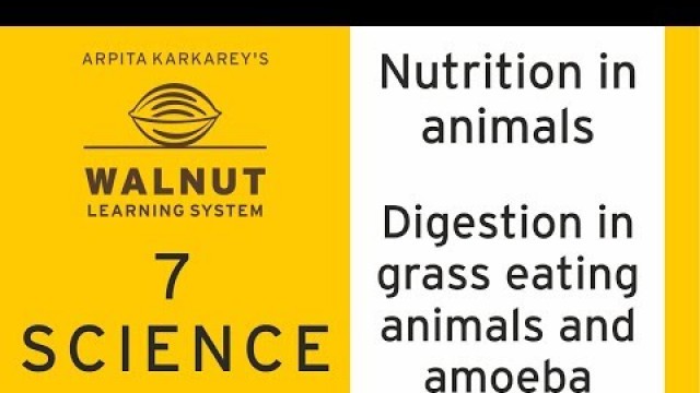 '7 Science - Nutrition in animals - Digestion in grass eating animals and amoeba'