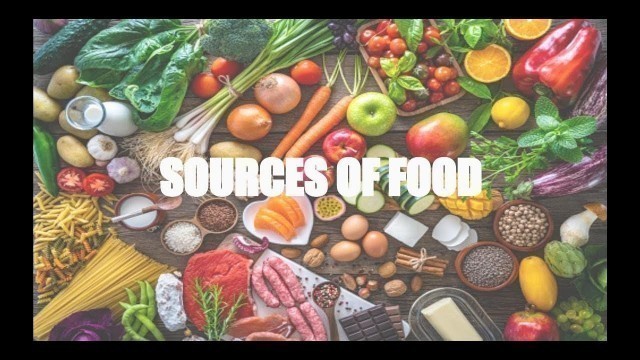 '|| SOURCES OF FOOD || Food Where Does It Come From Class 6 Science Chapter 1|| #KnowledgeKaAdda ||'