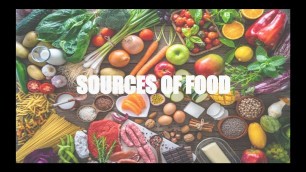 '|| SOURCES OF FOOD || Food Where Does It Come From Class 6 Science Chapter 1|| #KnowledgeKaAdda ||'