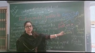 'Feeding and Digestion in Amoeba, Std -7th, subject- Science #saloniseducation'