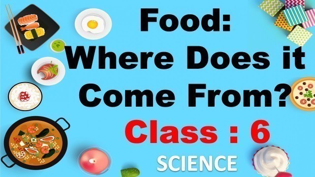 'Food: Where Does It Come From | Class 6 | SCIENCE | CBSE/  NCERT / ICSE  | Full Chapter Explanation'