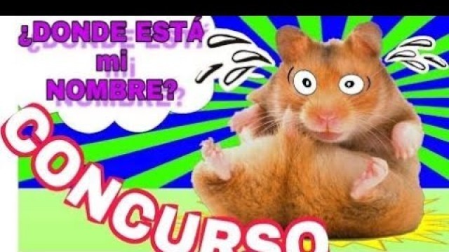 'SORTEO PARA PONER NOMBRE A LOS HAMSTERS DEL VIDEO REAL VS GUMMY AND PETS SURPRISE Y SALUDOS ☜♥☞'