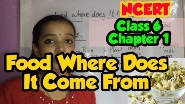 'Food : Where Does it Come From Full Chapter Class 6 Science |NCERT Science class 6 Chapter 1'