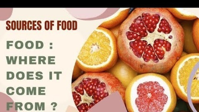 'Food where does it come from | Sources of food | Class 6 Chapter 1 science /'