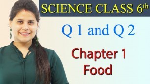 'Q 1 and Q 2 - Chapter 1 - Food : Where Does It Come From - Science Class 6'