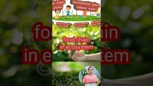 'food chain in ecosystem|# short videos'