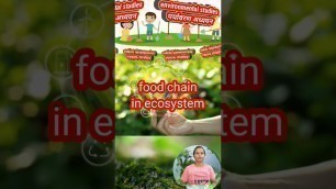 'food chain in ecosystem|# short videos'