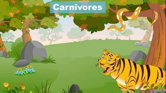 'Class-2 Food Chain Video for Kids'