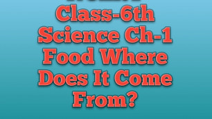 'Class-6th NCERT Ch-1 Food:Where does it Come From? Explanation.'