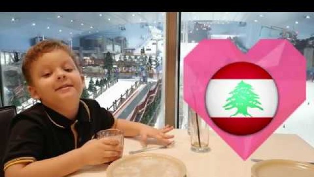 'Finally I went to the Mall || Ate the best LEBANESE food in DUBAI'