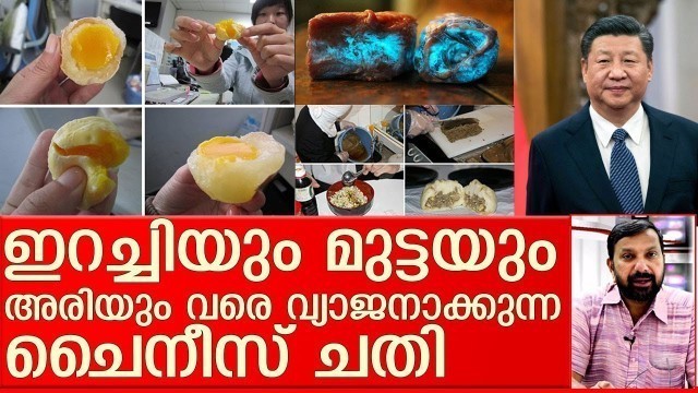 'ചൈനീസ് വ്യാജ ഭക്ഷണം കഴിച്ച് മരിക്കാം I Fake chinese food products'