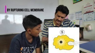 'Nutrition In Amoeba in 3 minutes | Class 10th Boards Special - CBSE and ICSE'