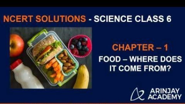 'NCERT Solutions for Class 6 Science Chapter 1 - Food where does it come from'