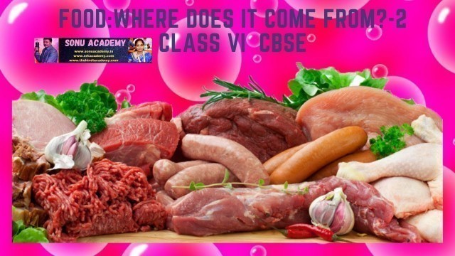 'FOOD: WHERE DOES IT COME FROM -2 |  CLASS-VI |  CBSE |'