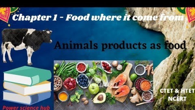 'Food: where does it come from || Animals product as food || Class-6 || NCERT notes for Ctet&Htet ||'