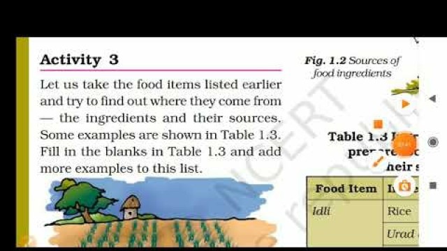 'FOOD: WHERE DOES IT COME FROM?|| class 6| Science| Chapter 1 ncert complete explanation'