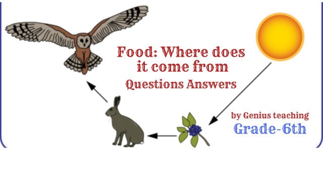 'Food: Where does it come from? | Grade-6th |Questions Answers | By Genius Teaching'