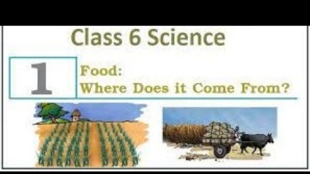 'Class 6: Food: Where Does It Come From? ||  Notes || Science Chapter 1 || English || CBSE'