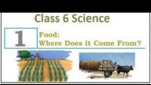 'Class 6: Food: Where Does It Come From? ||  Notes || Science Chapter 1 || English || CBSE'