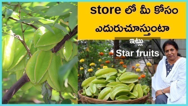 'గంప అంతా మీకోసం - ఆదివారం ఆహ్వానం/ Star Fruit సరదాలు/Healthy life/ kolkata street food/ village life'