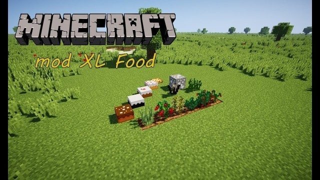 '[Présentation du mod] XL Food 1.10.2 [FR]'