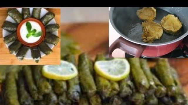 'Lebanese food\"*stuffed grape leaves*\"'